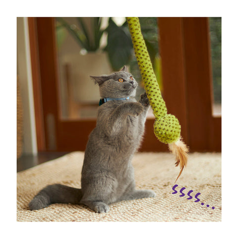 Kazoo Spotty Snake Play & Chase Wand Cat Toy