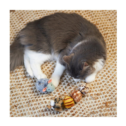 Kazoo Velcro Worm with Catnip & Velcro Balls Cat Toy