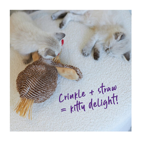 Kazoo Cheeky Crinkle Chicken with Catnip Cat Toy