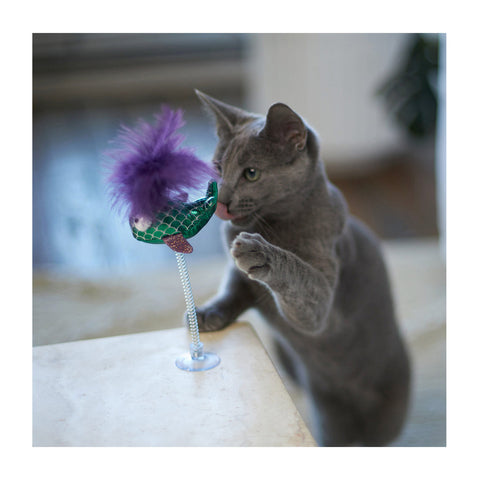 Kazoo Bouncy Fish with Catnip Cat Toy