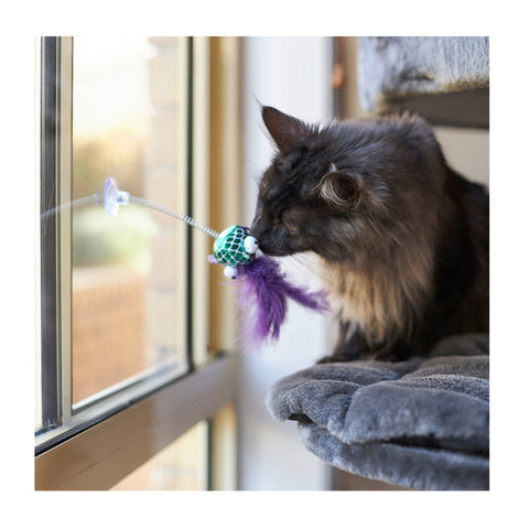 Kazoo Bouncy Fish with Catnip Cat Toy