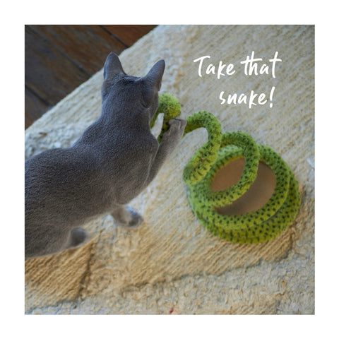 Kazoo Stimulating Springy Snake with Catnip Cat Toy