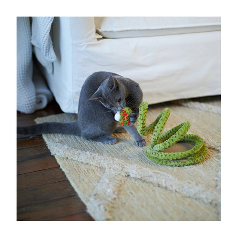 Kazoo Stimulating Springy Snake with Catnip Cat Toy