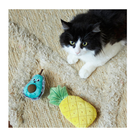 Kazoo Crinkly Pineapple with Catnip Cat Toy