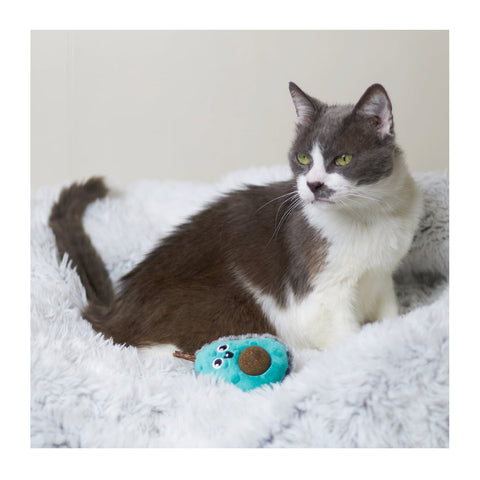 Kazoo Playful Avocado with Catnip Cat Toy