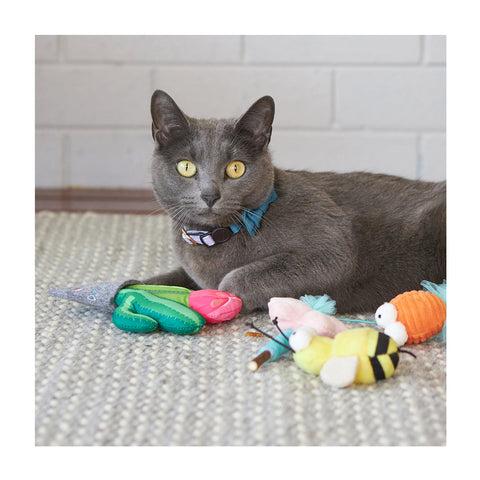 Kazoo Cactus Garden with Catnip & Rattle Sound Cat Toy