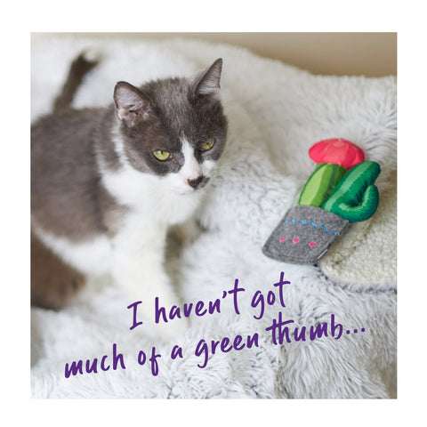 Kazoo Cactus Garden with Catnip & Rattle Sound Cat Toy