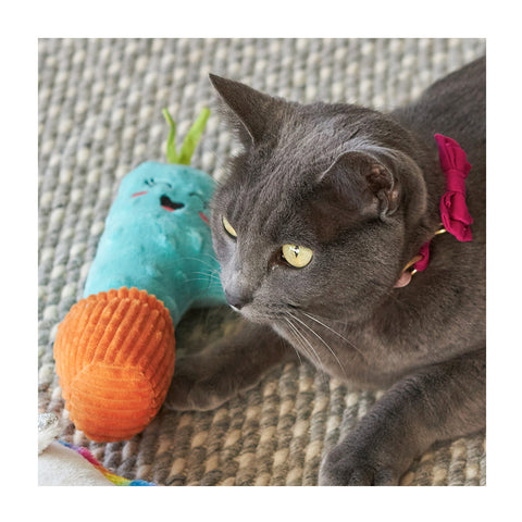 Kazoo Cactus Kicker with Catnip & Crinkle Cat Toy