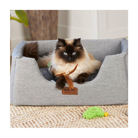 Kazoo Scruffy Cactus with Replacement Catnip & Silvervine Cat Toy