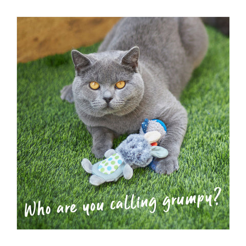 Kazoo Grumpy Rabbit with Catnip & Silvervine Cat Toy