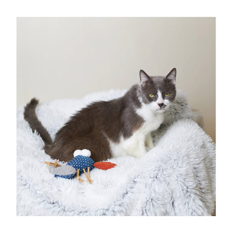 Kazoo Snappy Lobster with Catnip & Straw Cat Toy