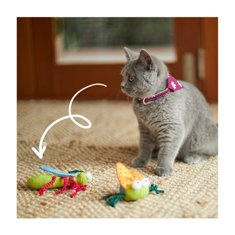 Kazoo Crinkle Bug with Catnip Cat Toy