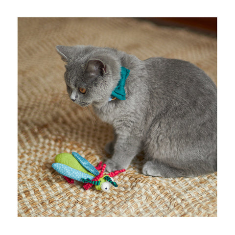 Kazoo Crinkle Bug with Catnip Cat Toy