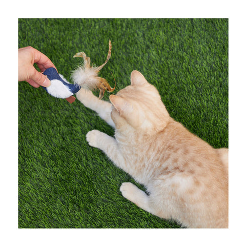 Kazoo Chirpy Bird with Sound Chip Cat Toy