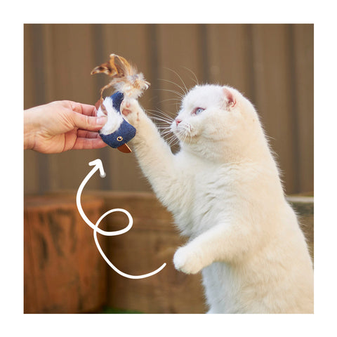 Kazoo Chirpy Bird with Sound Chip Cat Toy