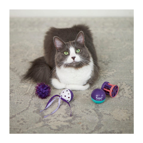 Kazoo Kitty Wobble Ball Cat Toy