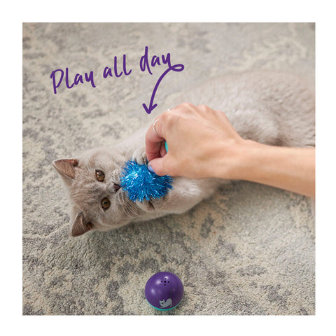 Kazoo Kitty Pom Pom Ball Cat Toy