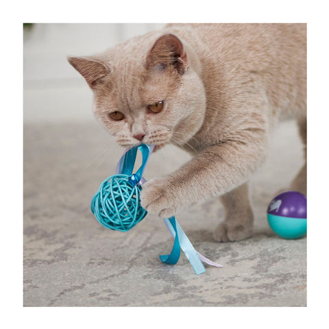 Kazoo Kitty Wicker Play Ball Cat Toy