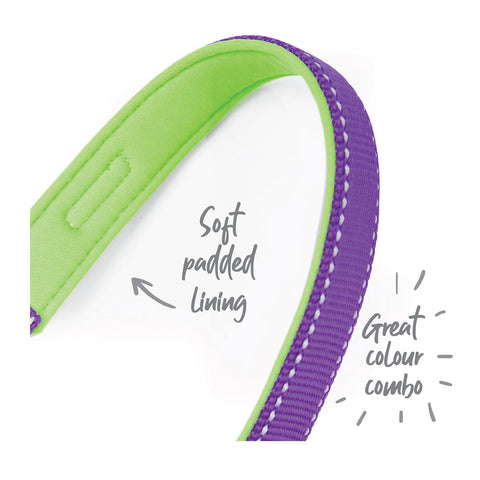 Kazoo Active Easy-Clip Adjustable Dog Collar Purple & Lime