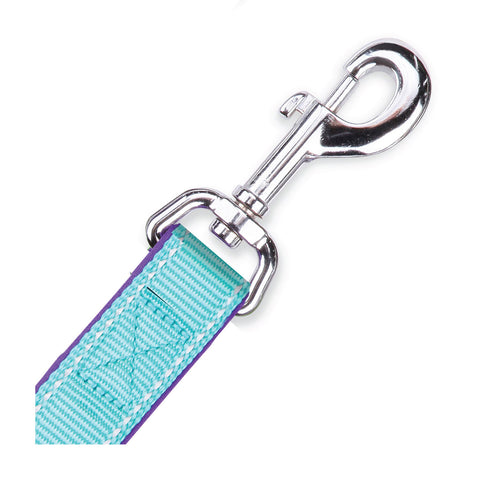 Kazoo Active Dog Lead Aqua & Purple