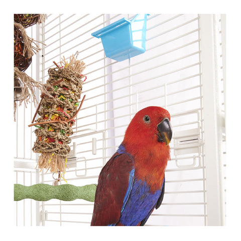 Kazoo Rectangular Bird Feeder Large 2 Pack