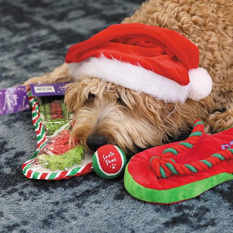 Kazoo Christmas Santa Paws Bounce Ball Dog Toy