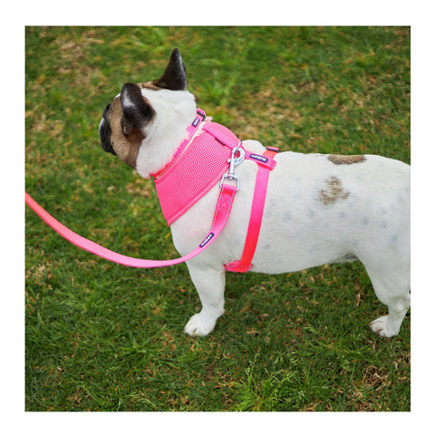 Kazoo Classic Soft Walking Dog Harness Pink