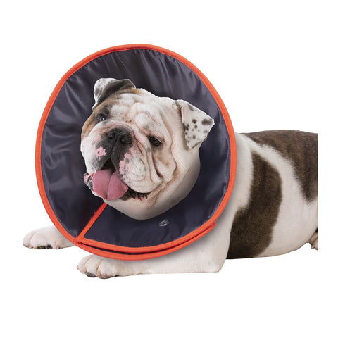 Kazoo Comfy Recovery Collar