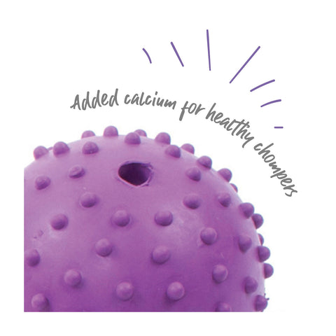 Kazoo Super Strong Studded Rubber Ball Assorted Dog Toy