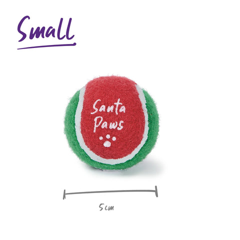 Kazoo Christmas Santa Paws Bounce Ball Dog Toy