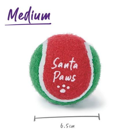 Kazoo Christmas Santa Paws Bounce Ball Dog Toy