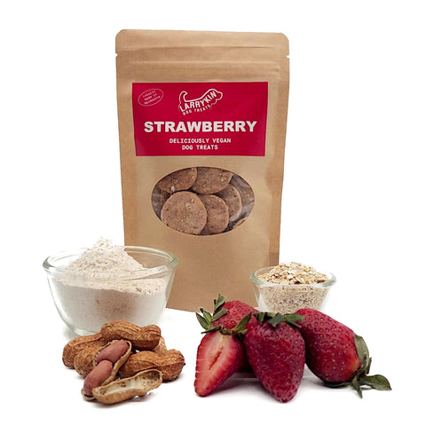 Larrykin Biscuits Strawberry Dog Treats 125g