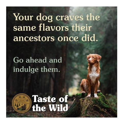 Taste of the Wild Grain Free Pacific Stream Puppy Dry Dog Food