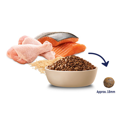 Advance Chicken, Salmon & Rice Adult Dry Cat Food