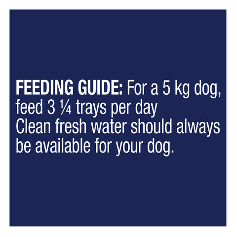 Advance Healthy Weight Turkey & Rice Adult Wet Dog Food Tray