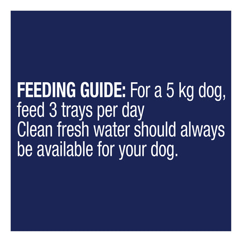 Advance Oodles Salmon Adult Wet Dog Food Tray