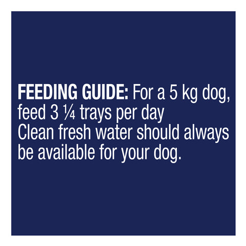 Advance Turkey Adult Wet Dog Food Tray