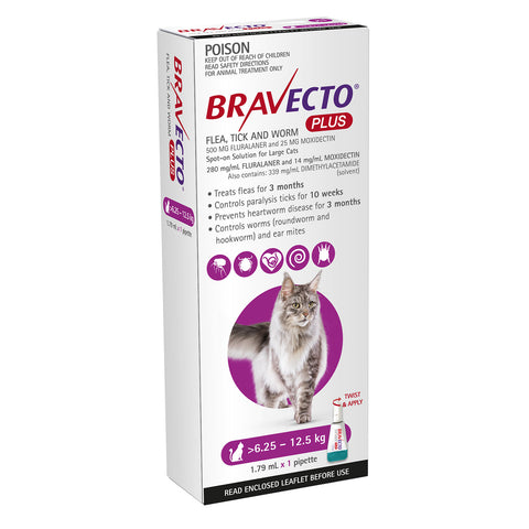 Bravecto Plus Treatment for Cats 6.25-12.5kg Purple Spot On