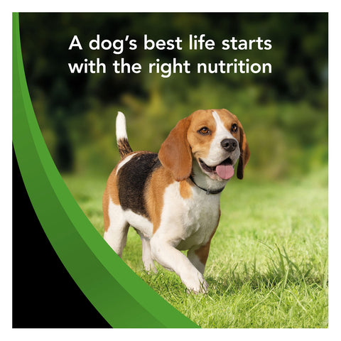 Supercoat Healthy Weight Chicken Adult Dry Dog Food