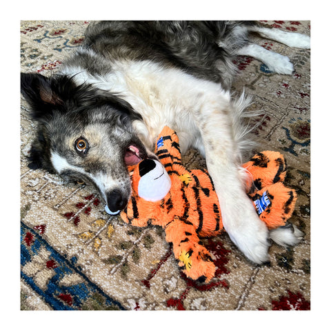 Kong Wild Knots Tiger Dog Toy