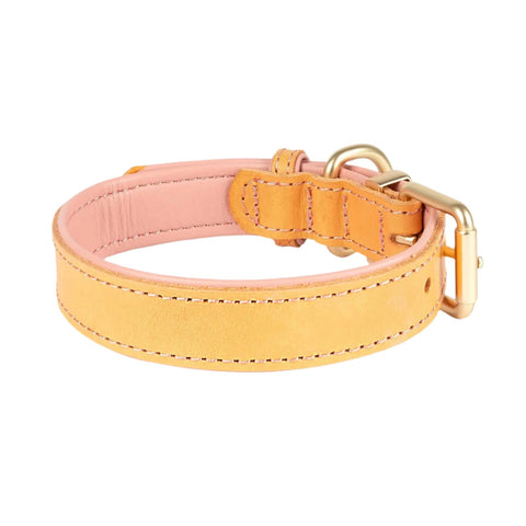 EzyDog Oxford Leather Dog Collar Blush