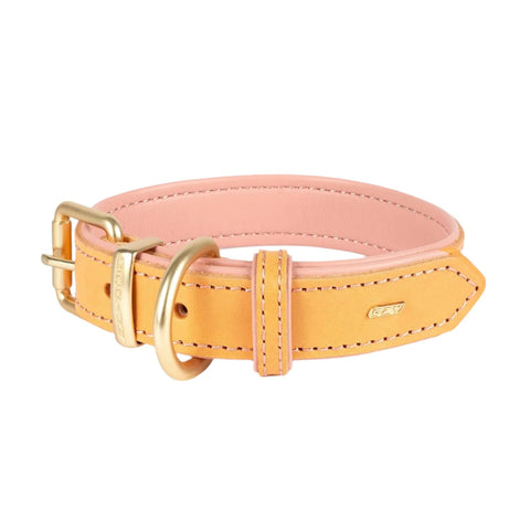 EzyDog Oxford Leather Dog Collar Blush