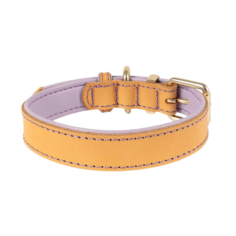 EzyDog Oxford Leather Dog Collar Lilac