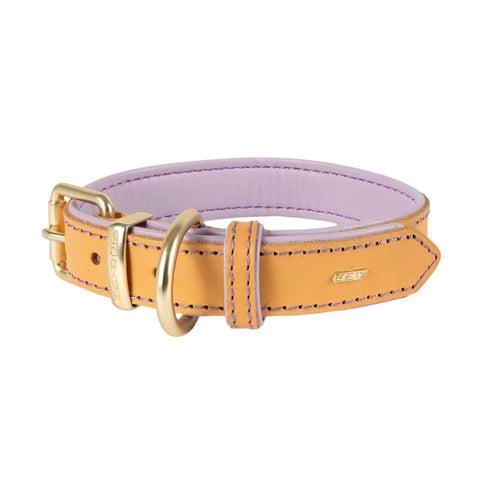 EzyDog Oxford Leather Dog Collar Lilac