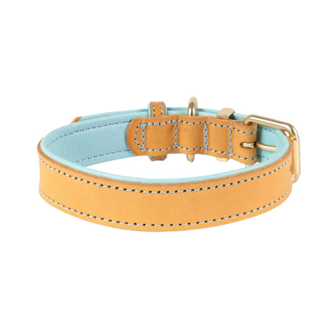 EzyDog Oxford Leather Dog Collar Powder Blue