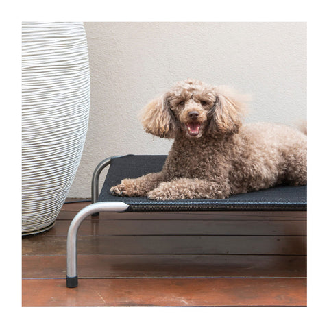 Superior Pet Goods Original Flea-Free Raised Bed