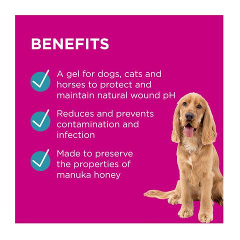 PAW Manuka Wound Gel for Dogs, Cats & Horses 100g