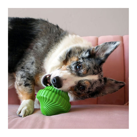 Kong Squeeze Orbitz Spin Top Dog Toy