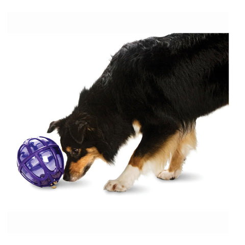 Petsafe Busy Buddy Kibble Nibble Feeder Ball Dog Toy