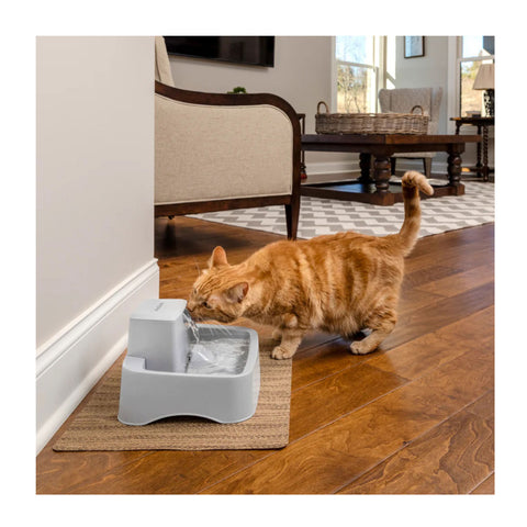 PetSafe Drinkwell Pet Fountain